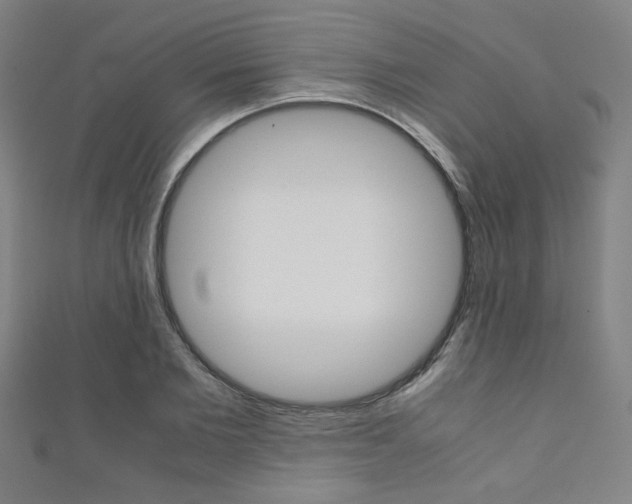 X0000111350885200907100933