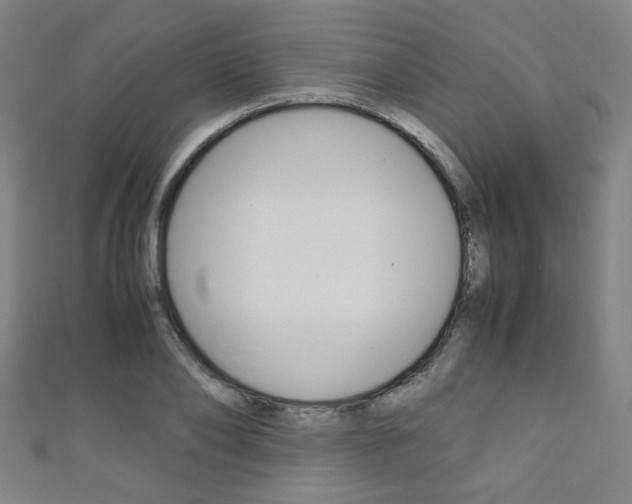 X0000111350886200907100933