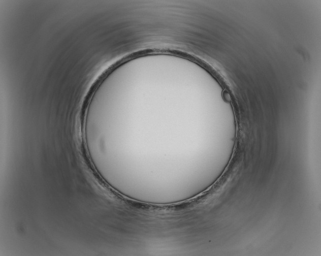 X0000111350887200907100933