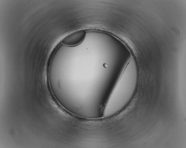 X0000111350888200907100933