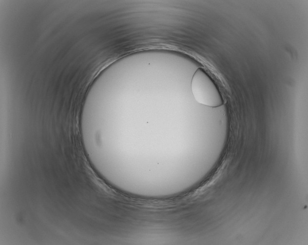 X0000111350889200907100933