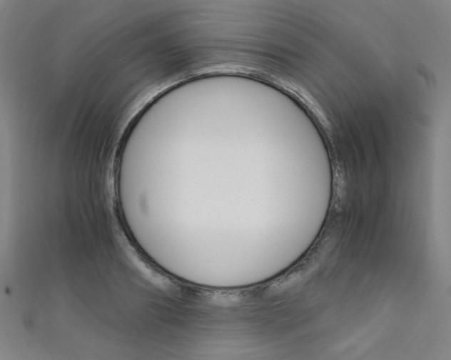 X0000111350890200907100933