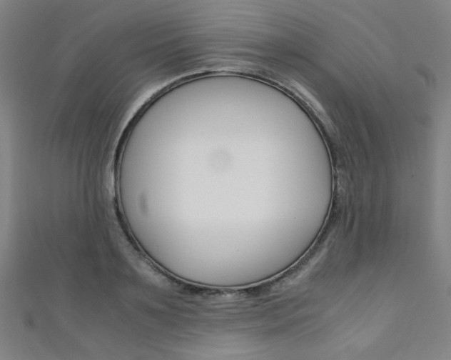 X0000111350891200907100933