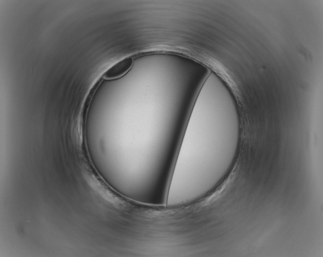 X0000111350892200907100933