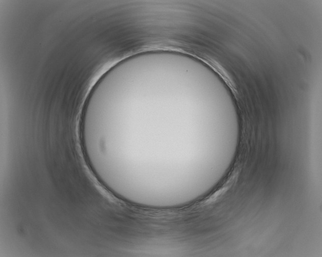 X0000111350893200907100933