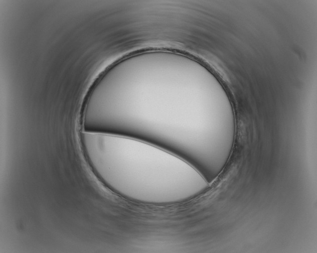 X0000111350895200907100933