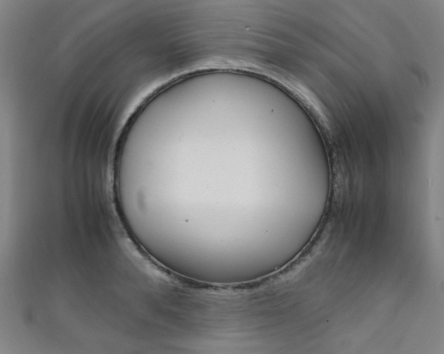 X0000111350896200907100933