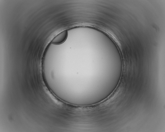 X0000111350898200907100932