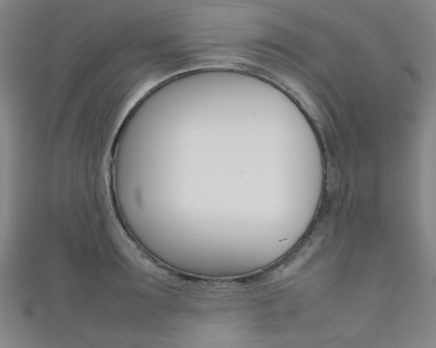 X0000111350899200907100932
