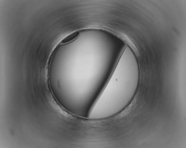 X0000111350900200907100932