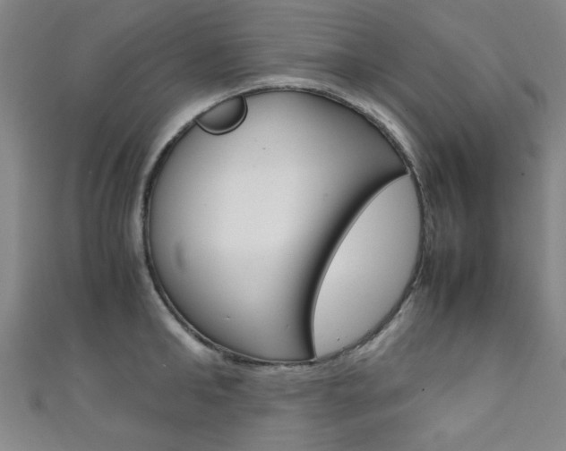X0000111350902200907100932