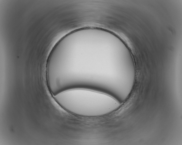 X0000111350903200907100932