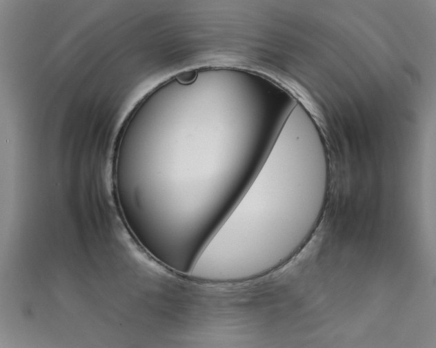 X0000111350904200907100932