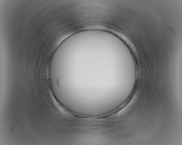 X0000111350905200907100932
