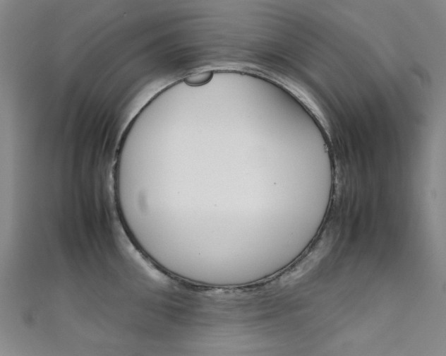 X0000111350906200907100932