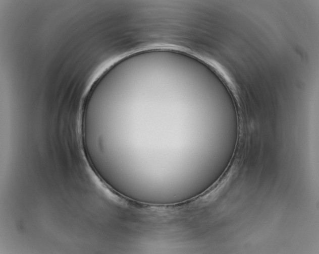 X0000111350910200907100932