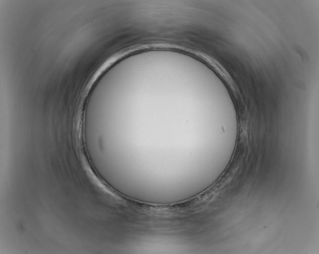 X0000111350911200907100932