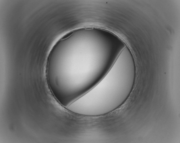 X0000111350912200907100932