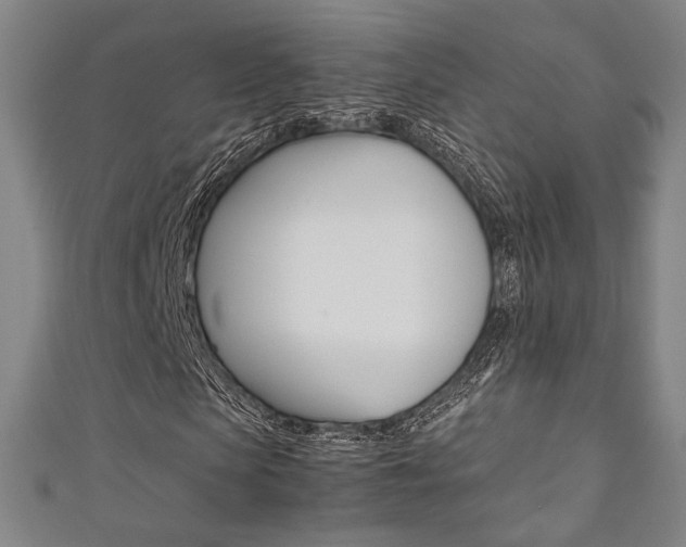 X0000111350913200907100932