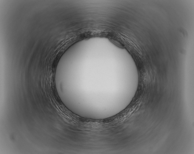 X0000111350914200907100932