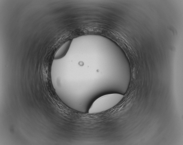 X0000111350915200907100932