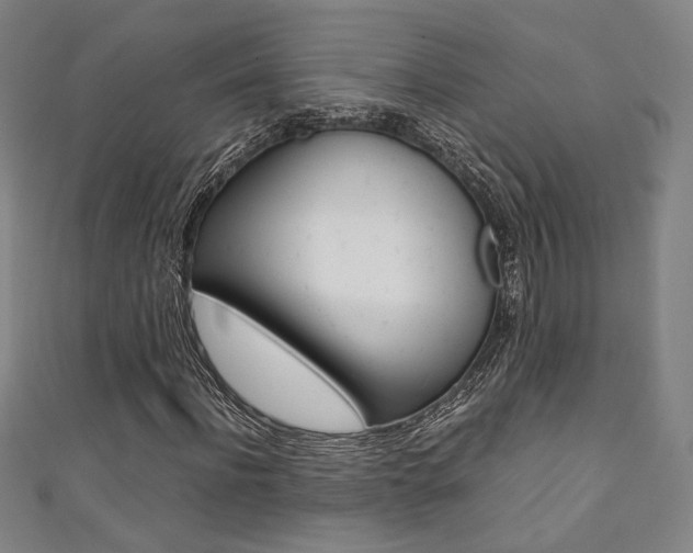 X0000111350916200907100932