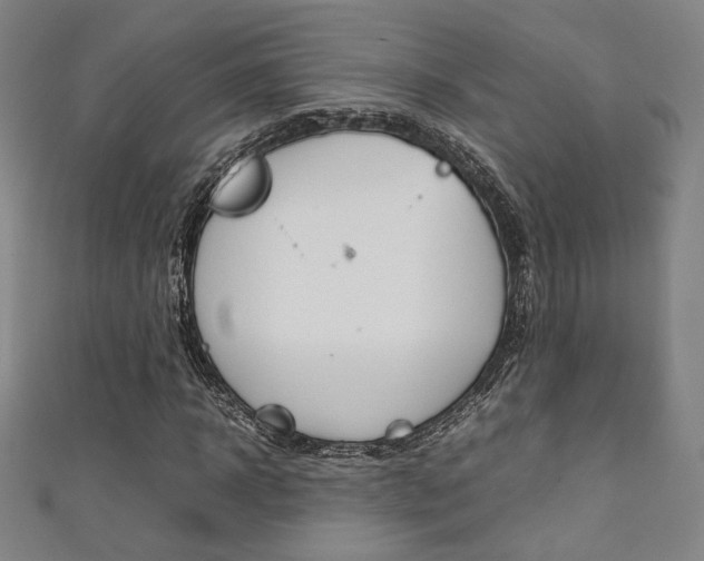 X0000111350918200907100932