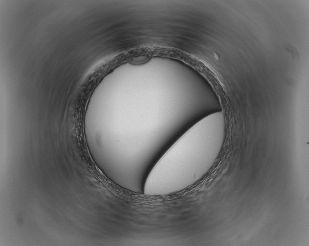 X0000111350919200907100932