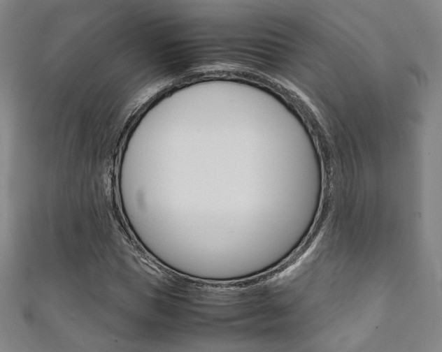 X0000111350921200907100932