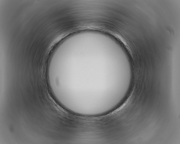 X0000111350922200907100932