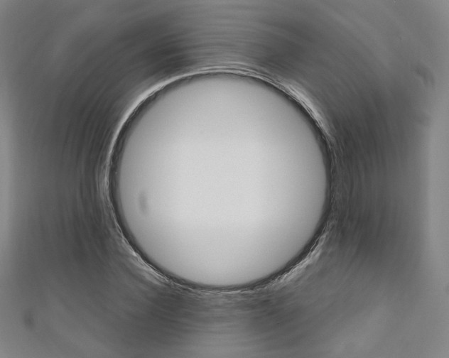 X0000111350924200907100932