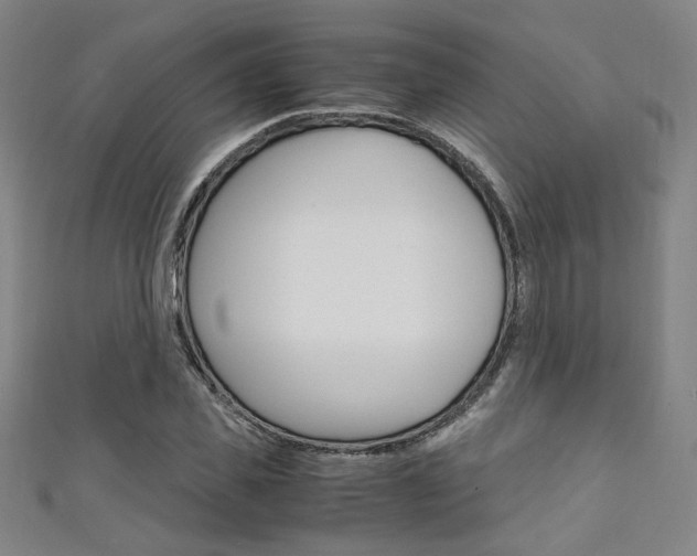 X0000111350925200907100932