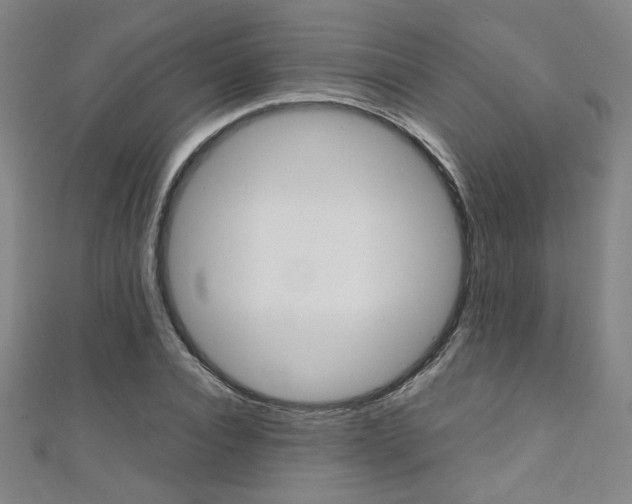 X0000111350928200907100932