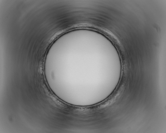 X0000111350929200907100932