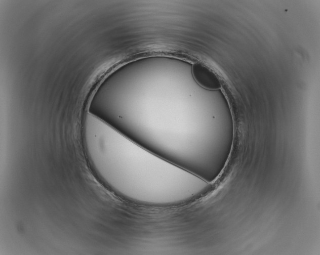 X0000111350930200907100932