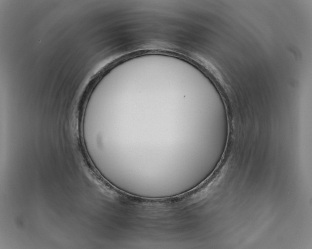 X0000111350931200907100932