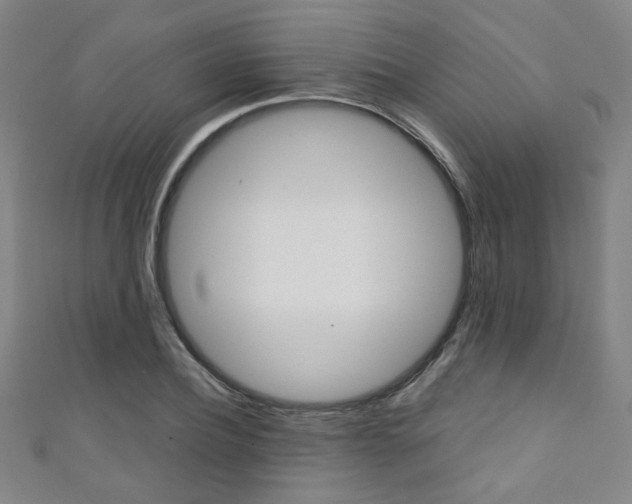 X0000111350932200907100932