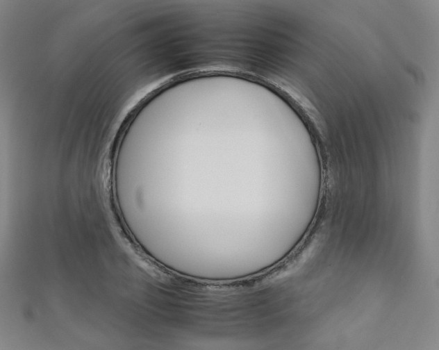 X0000111350933200907100932