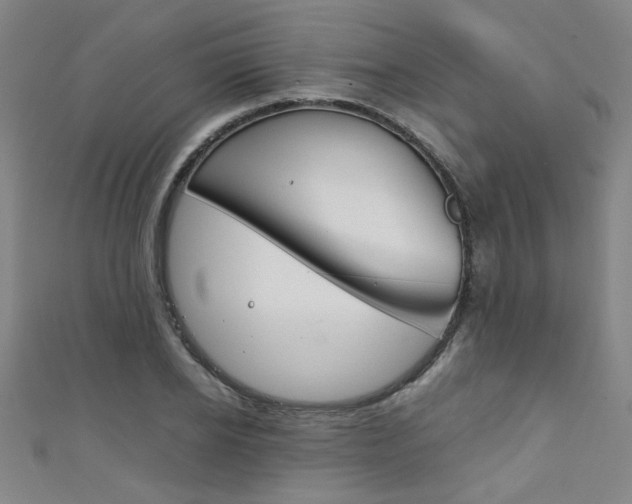X0000111350934200907100932