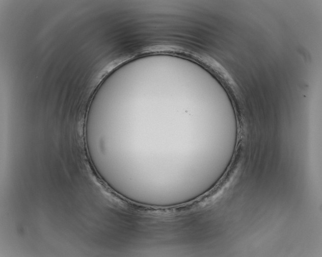 X0000111350937200907100932