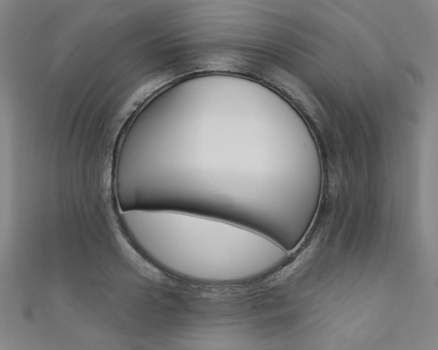 X0000111350938200907100932