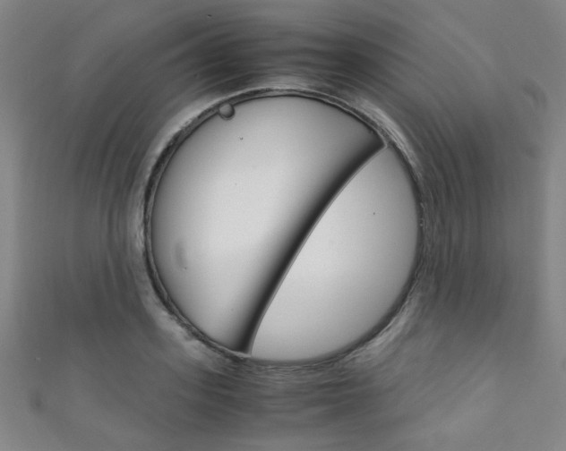 X0000111350939200907100932