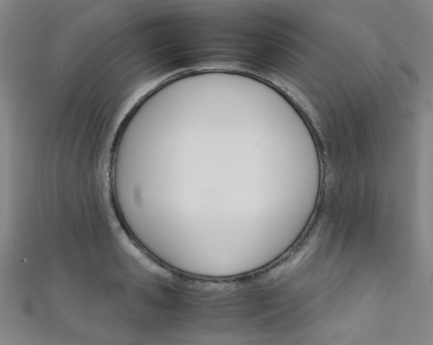 X0000111350941200907100932