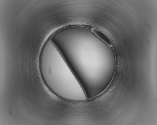 X0000111350942200907100932