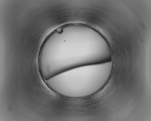 X0000111350943200907100932