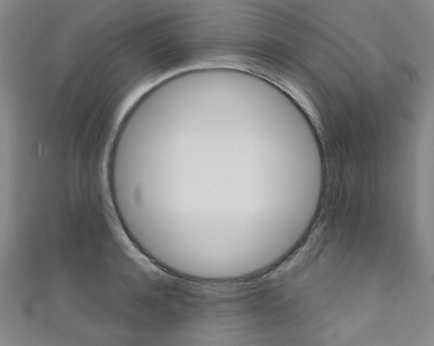 X0000111350944200907100932
