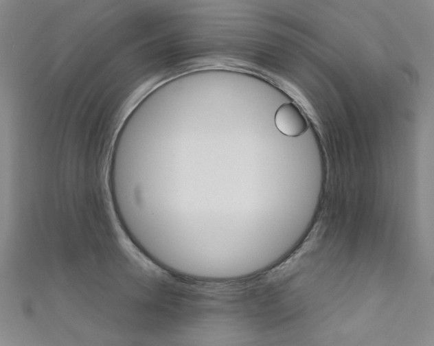 X0000111350946200907100932