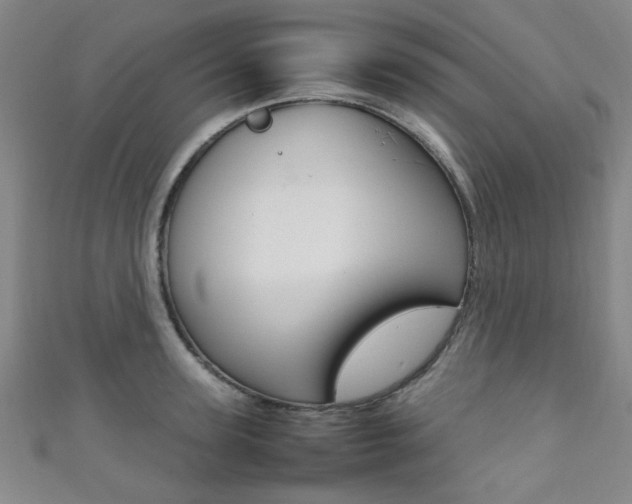 X0000111350947200907100932