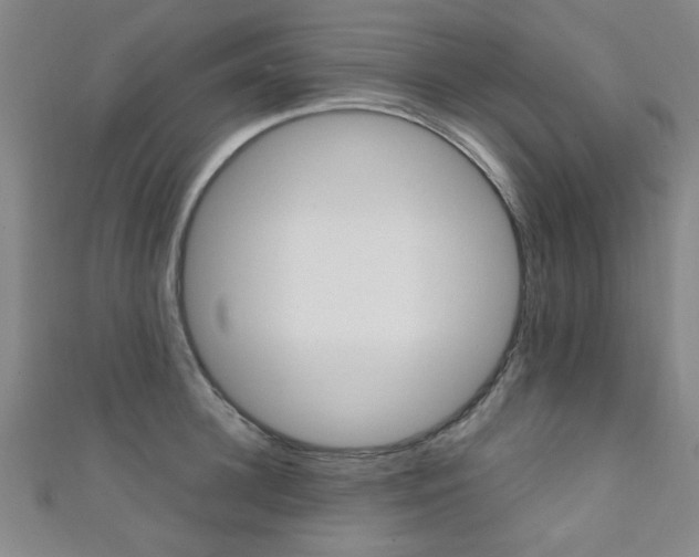 X0000111350948200907100932