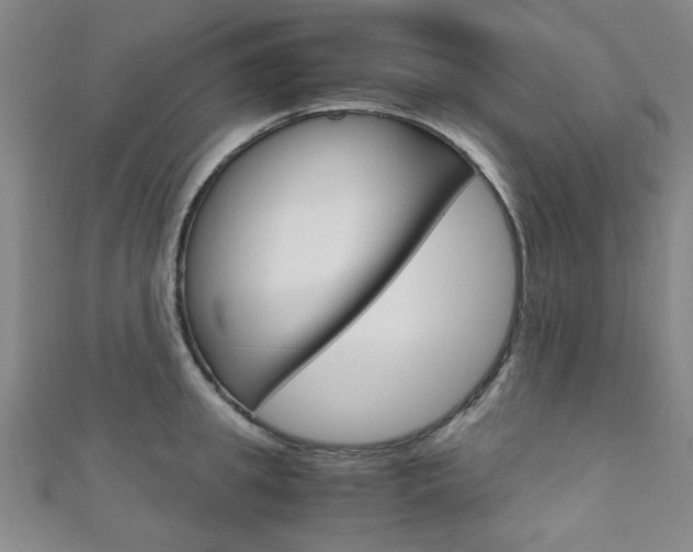 X0000111350949200907100932